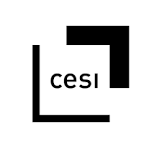 Bachelor in Software Engineering logo