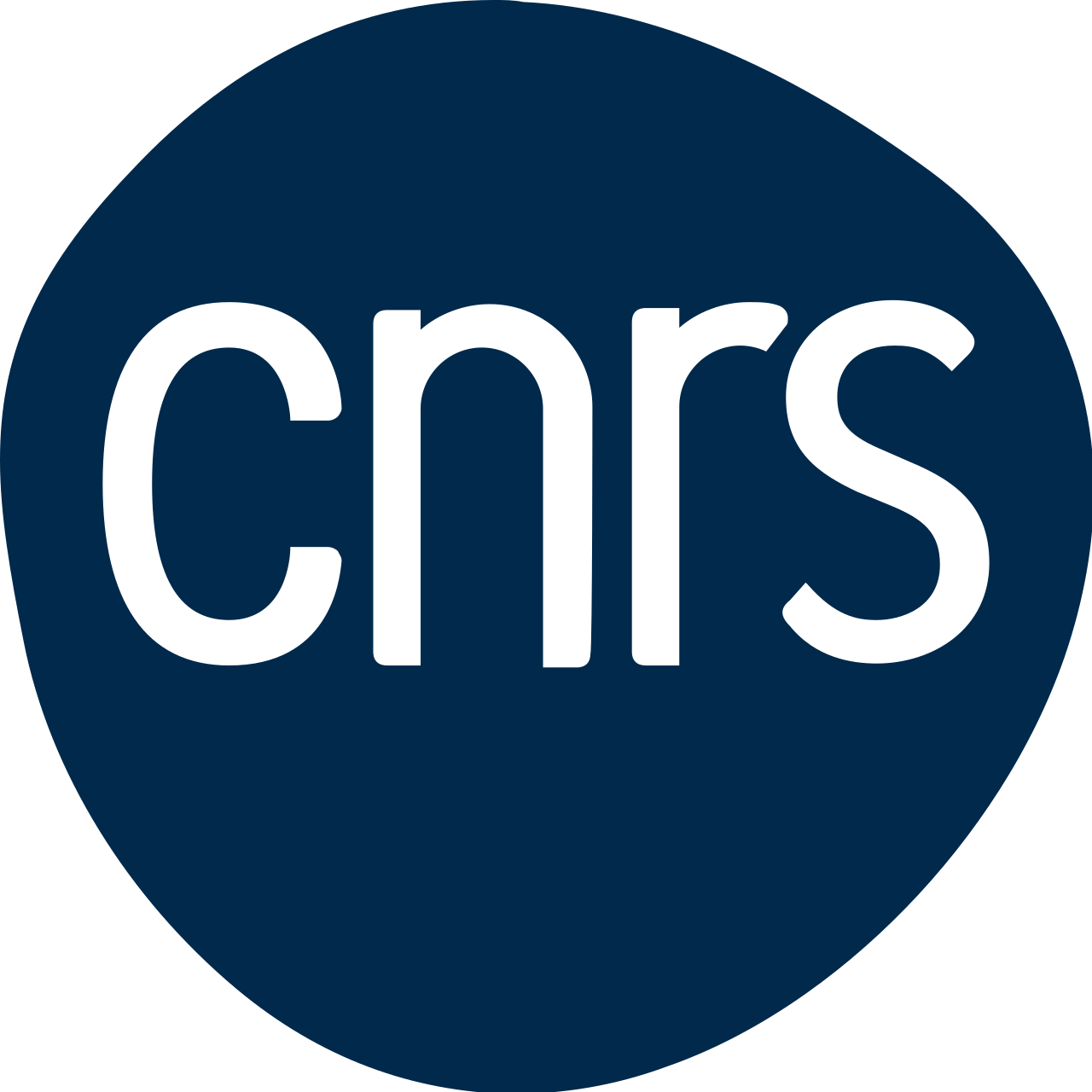 R&D Engineer - CNRS logo